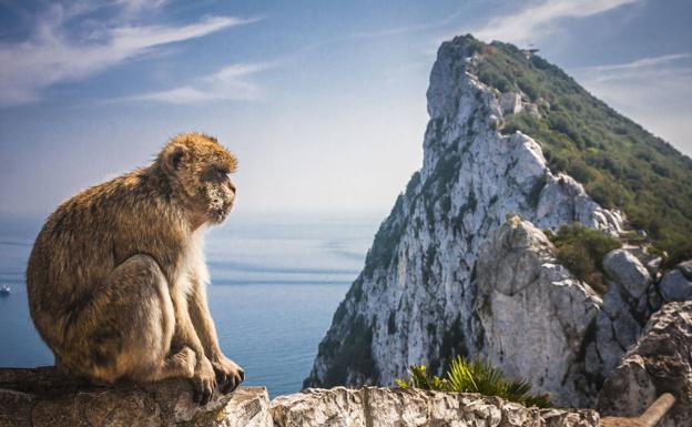 Visita a Gibraltar