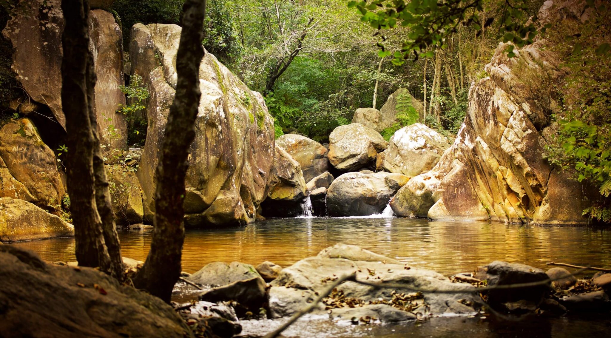 COMPLETO!! RUTA SENDA RIO DE LA MIEL + TARIFA Quedadas Málaga COMPLETO!! RUTA SENDA RIO DE LA MIEL + TARIFA Quedadas Málaga