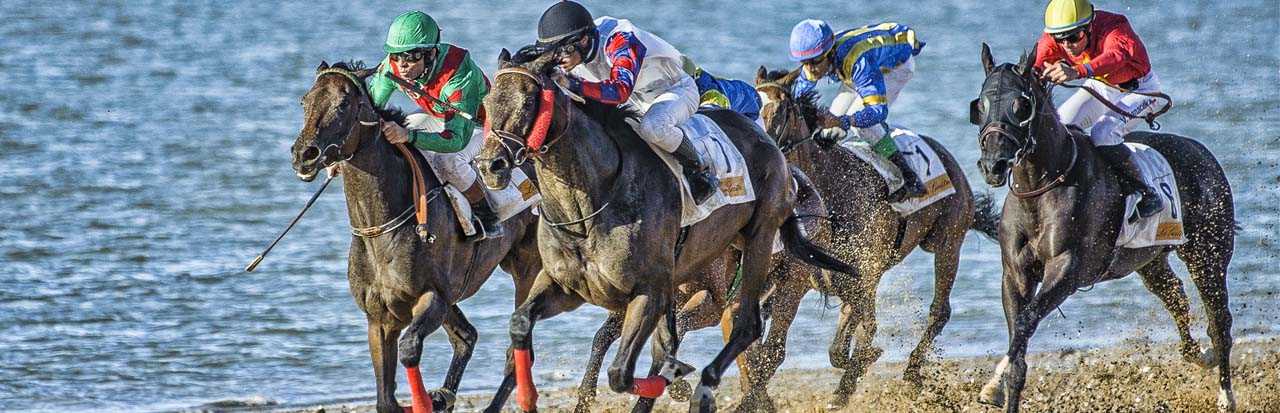 Carrera de Caballos Sanlucar de Barrameda