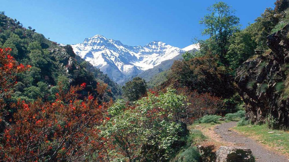 RUTA VEREDA DE LA ESTRELLA