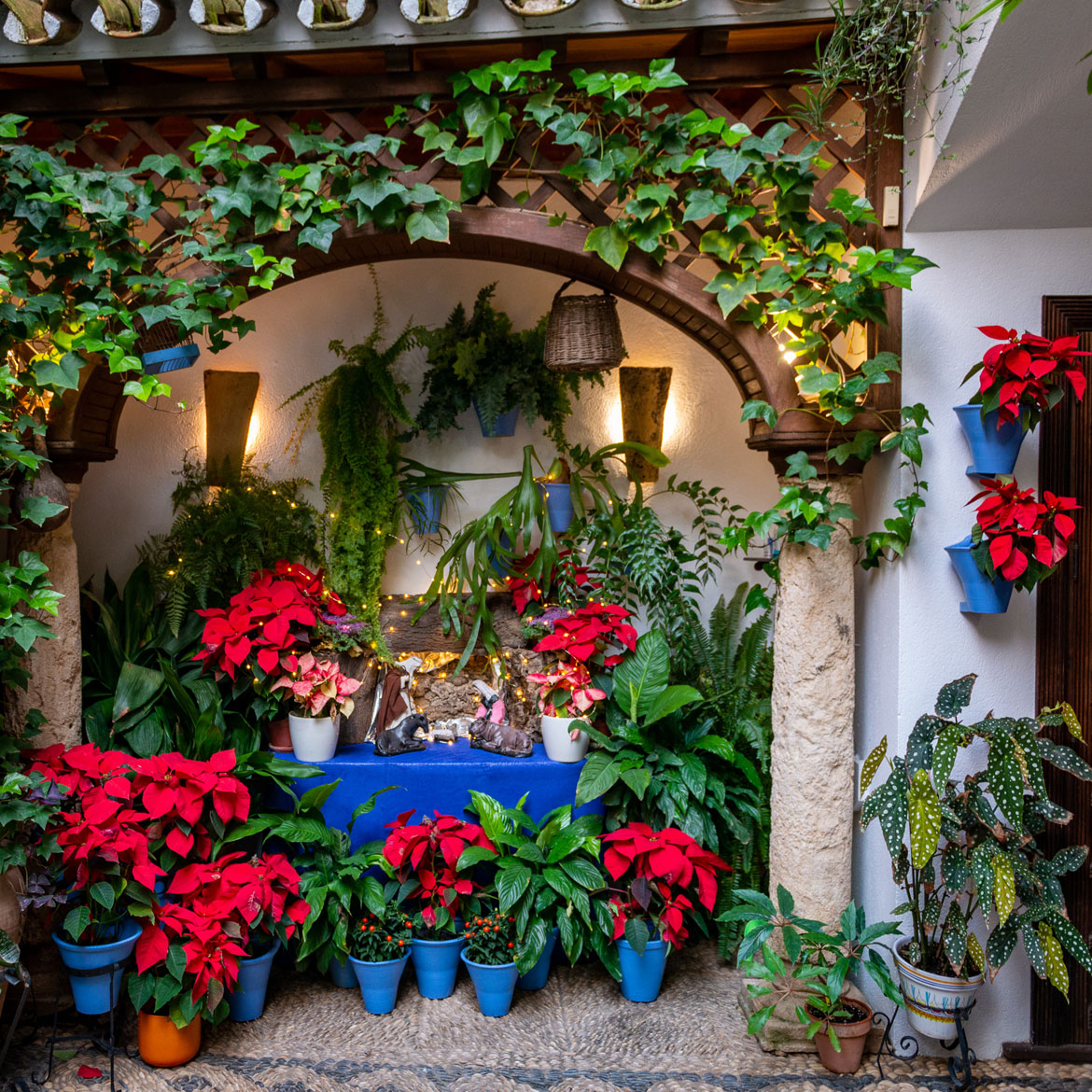 Navidad en Cordoba