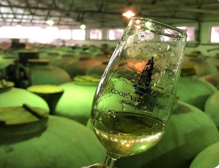 Visita a Bodega