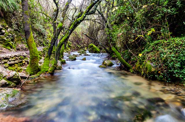 Ruta-rio-Majaceite